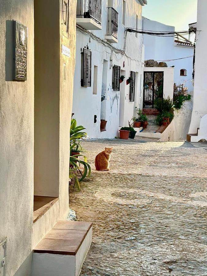 El Corralon Guest House Frigiliana Exterior photo